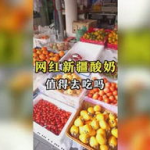 娱乐吃瓜小金,揭秘娱乐圈那些不为人知的幕后故事