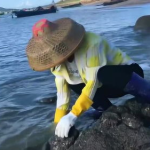 小姐姐开车去赶海图片,捕捉夏日海浪之美