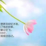 一句最走心的句子,心有所向——一句走心句子的心灵启示