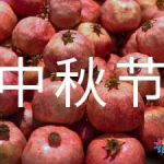 中秋祝福语200字,祝福满满暖人心