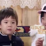 哈哈 娱乐吃瓜,哈哈娱乐吃瓜背后的真相与现象解析