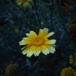 轻浮対白露脸-轻浮対白露脸官方老版本下载V，林心如回应黄子佼性侵未成年案理性发声引关怀-赵丽颖“文盲”争议冲上热搜！从央视删评到人设崩塌终归流露了