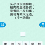 谜语大全一百条,揭秘谜语大全中的智慧与趣味
