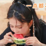 白鹿娱乐吃瓜,揭秘娱乐圈最新“吃瓜”事件
