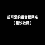 高级谐音梗网名,揭秘高级谐音梗的创意魅力